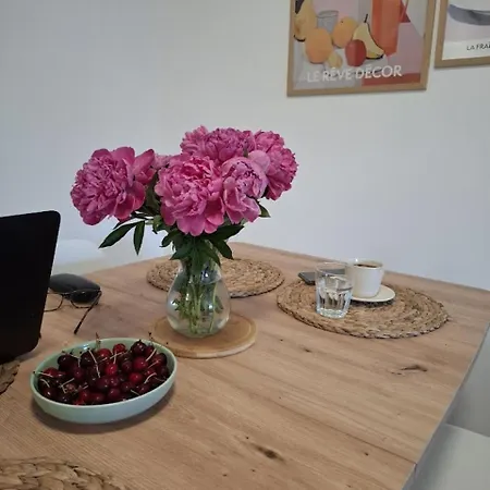 Nikana 아파트 Vrnjačka Banja